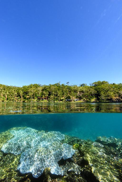 The Remote Resort Nawi Εξωτερικό φωτογραφία